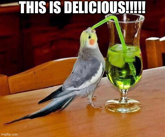 HaVe A bOwL mR sQuIdWaRd *SMASH* | THIS IS DELICIOUS!!!!! | image tagged in big sip,delicious,wait a minute,yum | made w/ Imgflip meme maker