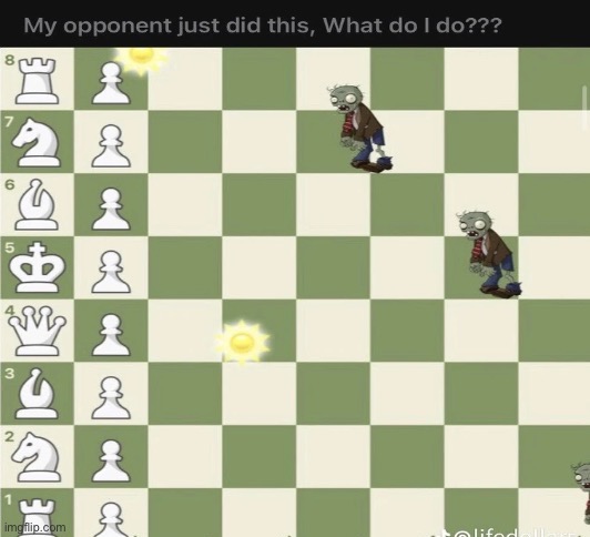 image tagged in memes | made w/ Imgflip meme maker