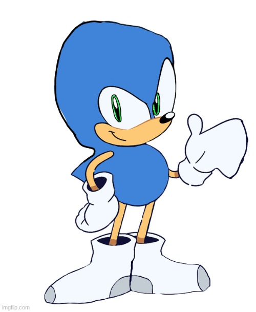 do you guys  like my sonic oc | made w/ Imgflip meme maker