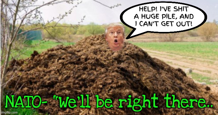 Dipped shit | HELP! I've shit a huge pile, and
 I can't get out! NATO- "We'll be right there.. | image tagged in dipped shit,nato help,trump's illegal war | made w/ Imgflip meme maker