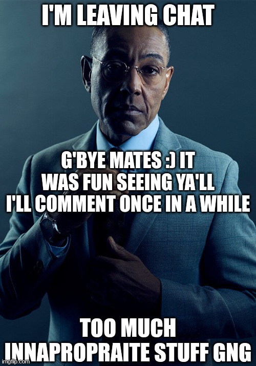 bye :( | I'm leaving chat; g'bye mates :) it was fun seeing ya'll I'll comment once in a while; too much innapropraite stuff gng | image tagged in we are not the same | made w/ Imgflip meme maker