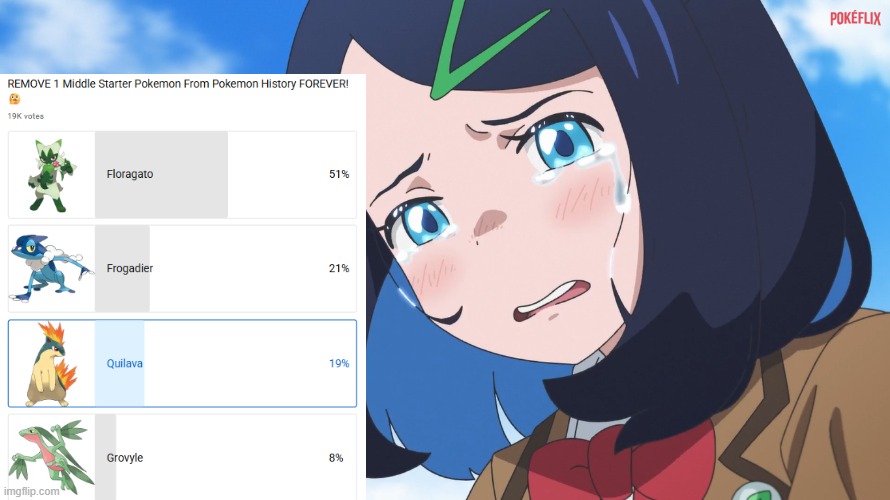 Look what you made Liko | image tagged in memes,funny,pokemon,anime | made w/ Imgflip meme maker