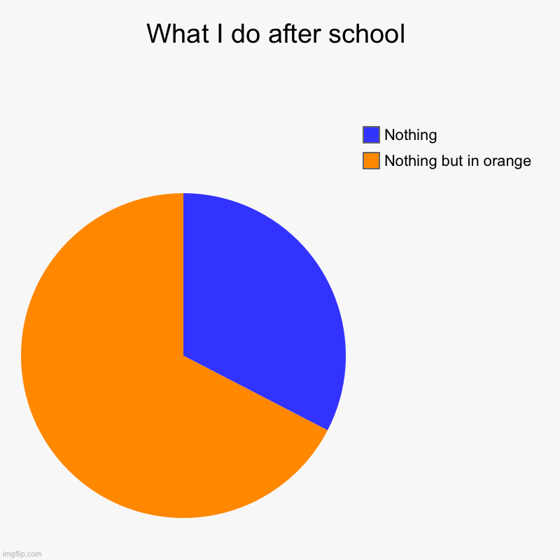 What I do after school | Nothing but in orange, Nothing | image tagged in charts,pie charts | made w/ Imgflip chart maker