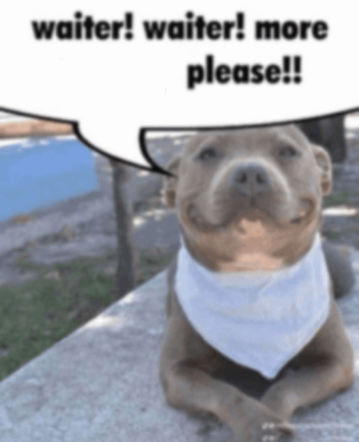 Waiter! Waiter! Blank Meme Template