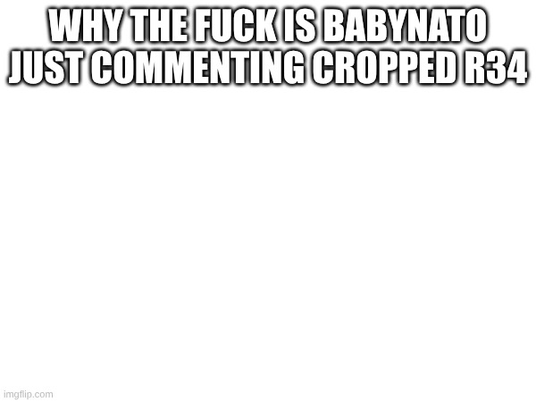 why the fuck is babynato just commenting cropped r34 | made w/ Imgflip meme maker