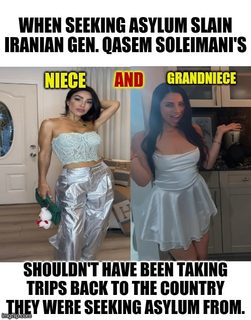 Makes Sense Huh? | image tagged in memes,niece,trip,back,asylum,country | made w/ Imgflip meme maker