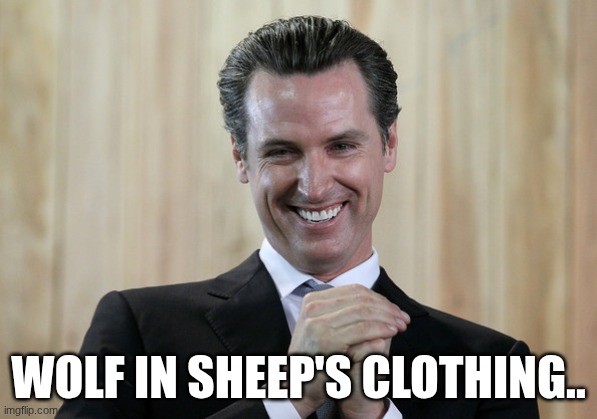 The devil | Wolf in sheep's Clothing.. | image tagged in scheming gavin newsom | made w/ Imgflip meme maker