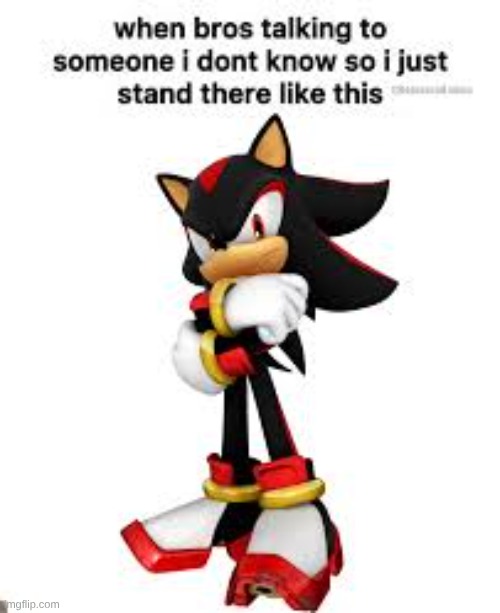 I mean this pose is kinda tuff | image tagged in shadow the hedgehog,he is my pookie,i love him sm,oh also funny,sonic | made w/ Imgflip meme maker