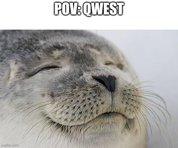 Satisfied Seal Meme | POV: Qwest | image tagged in memes,satisfied seal | made w/ Imgflip meme maker