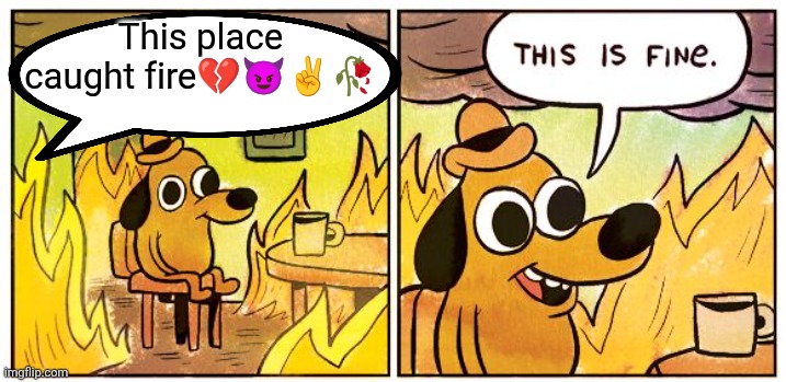 This Is Fine | This place caught fire💔😈✌️🥀 | image tagged in memes,this is fine | made w/ Imgflip meme maker