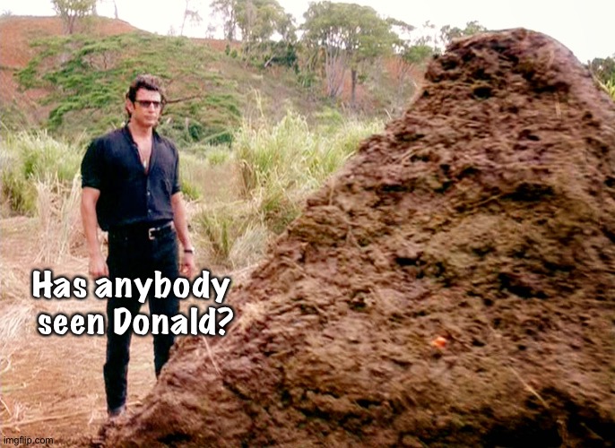 Memes, Poop, Jurassic Park | Has anybody 
seen Donald? | image tagged in memes poop jurassic park | made w/ Imgflip meme maker