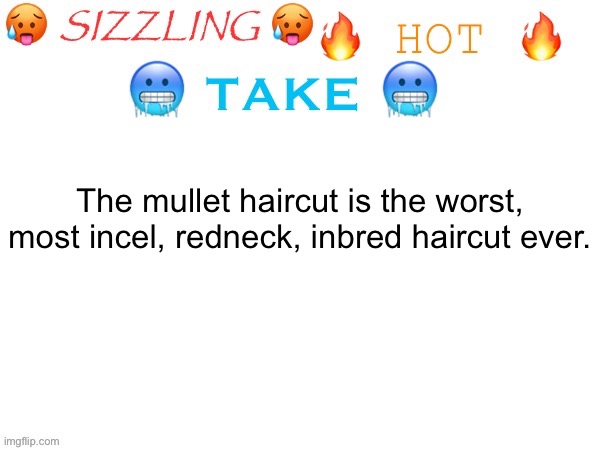 sizzling hot take | The mullet haircut is the worst, most incel, redneck, inbred haircut ever. | image tagged in sizzling hot take | made w/ Imgflip meme maker