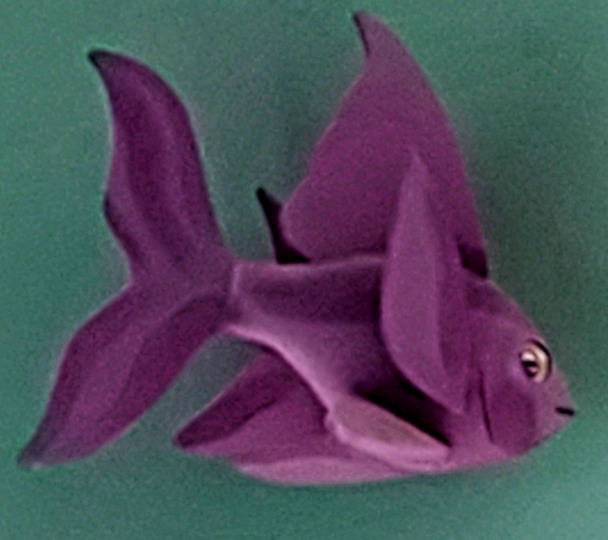 Judgey fish Blank Meme Template