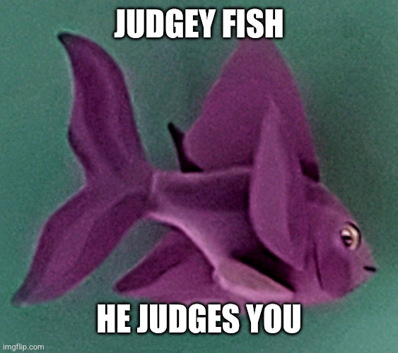 judgey fish | Judgey fish; He judges you | image tagged in judgey fish,meme,fish | made w/ Imgflip meme maker