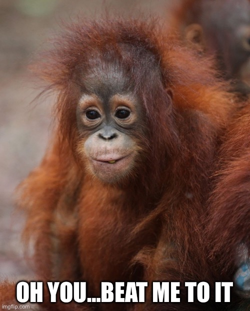 Oh you…beat me to it | made w/ Imgflip meme maker