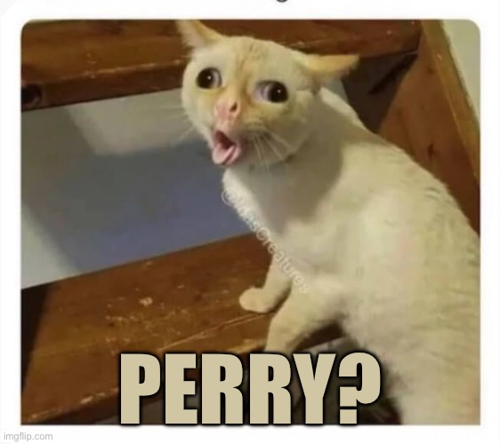 Coughing Cat | Perry? | image tagged in coughing cat | made w/ Imgflip meme maker