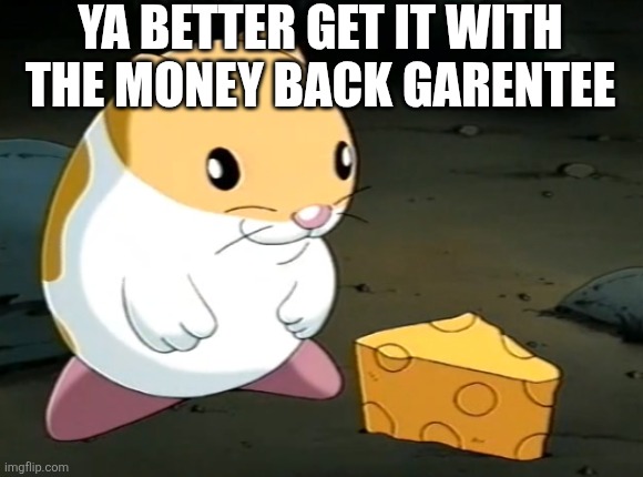 Goofy ahh hampter with cheez | YA BETTER GET IT WITH THE MONEY BACK GARENTEE | image tagged in goofy ahh hampter with cheez | made w/ Imgflip meme maker
