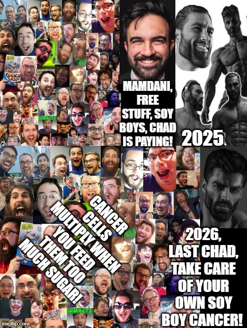 Mamdani,Soy-Boys, Chad is paying for your free stuff! | 2026, last chad, take care of your own soy boy cancer! cancer cells multiply when you feed them too much sugar! | image tagged in sam elliott special kind of stupid | made w/ Imgflip meme maker