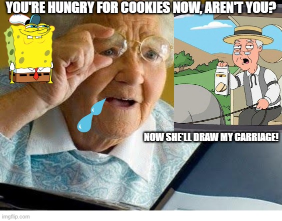 old lady at computer | you're hungry for cookies now, aren't you? now she'll draw my carriage! | image tagged in old lady at computer | made w/ Imgflip meme maker