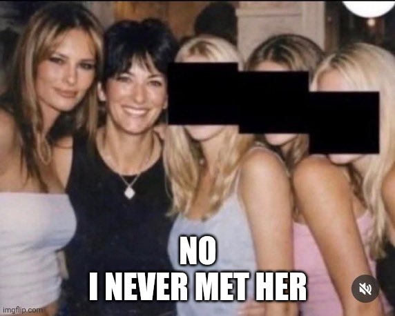 melanoma | No
I never met her | image tagged in maxwell,tramps | made w/ Imgflip meme maker