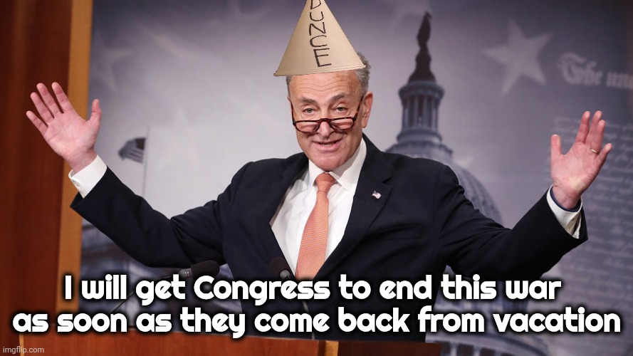 Are you still here ? | I will get Congress to end this war 
as soon as they come back from vacation | image tagged in chuck schumer,clown,ancient,arrogant rich man,politicians suck,do better voters | made w/ Imgflip meme maker