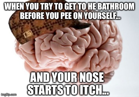 Scumbag Brain | WHEN YOU TRY TO GET TO HE BATHROOM BEFORE YOU PEE ON YOURSELF... AND YOUR NOSE STARTS TO ITCH... | image tagged in memes,scumbag brain | made w/ Imgflip meme maker