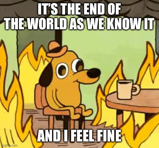 It’s the end of the world as we know it And I feel fine | image tagged in its fine | made w/ Imgflip meme maker