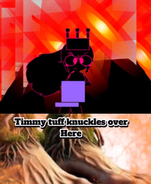 image tagged in no,timmy tuff knuckles over here | made w/ Imgflip meme maker