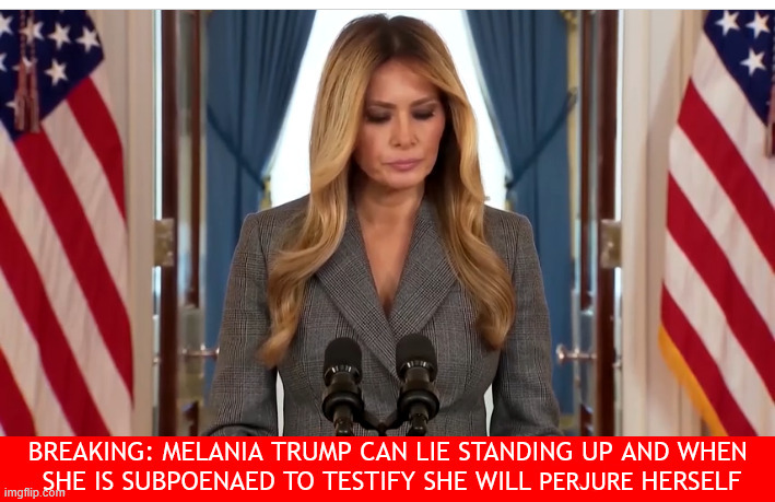 Melania can lie standing up | perjure | image tagged in melania can lie standing up,who wants to see the naked truth in pictures,perjury prison time,trump dump,it's in my boook | made w/ Imgflip meme maker