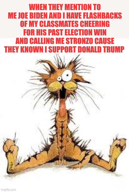 They used to say i was a stronzo (that in my italian language means prick) Just cause i support Donald Trump | When they mention to me Joe Biden and I have flashbacks of my classmates cheering for his past election win and calling me stronzo cause they known I support Donald Trump | image tagged in me stressed naaaaaaaa | made w/ Imgflip meme maker
