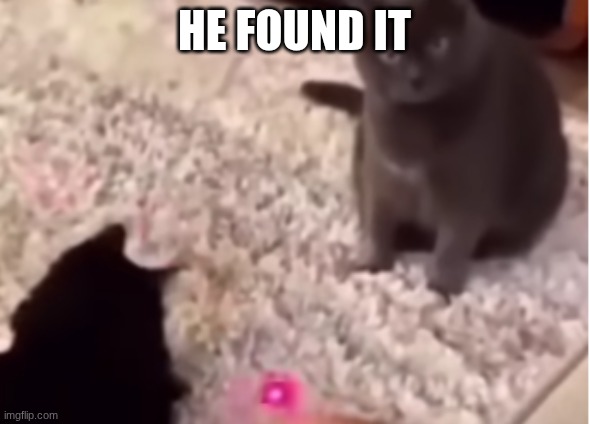 he found it | image tagged in he found it | made w/ Imgflip meme maker