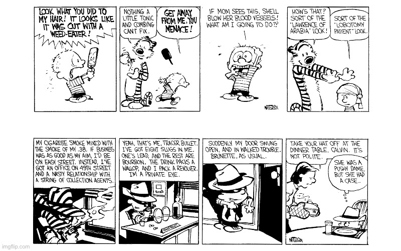 image tagged in calvin and hobbes,comics | made w/ Imgflip meme maker