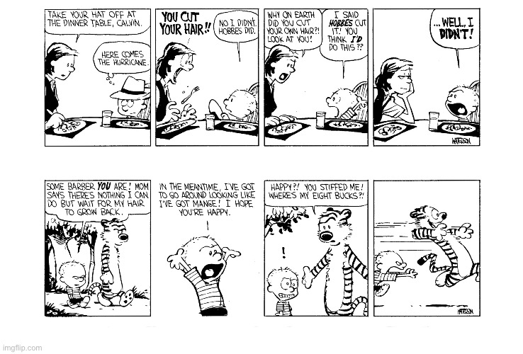image tagged in calvin and hobbes,comics | made w/ Imgflip meme maker