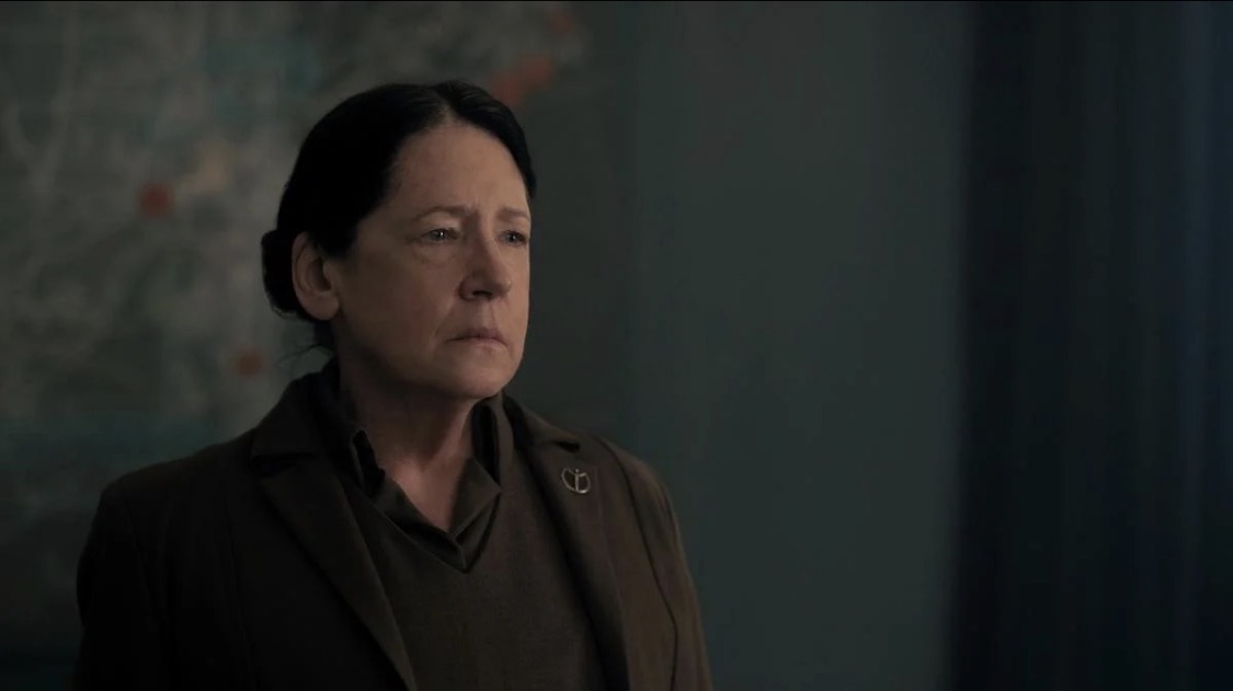 Aunt Lydia Blank Meme Template