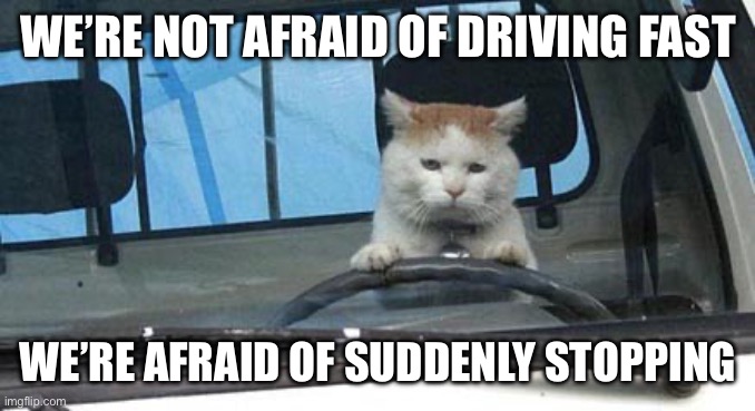 Or yk, getting a ticket/going to jail Ig | We’re not afraid of driving fast; We’re afraid of suddenly stopping | image tagged in cat drivibg truck,shower thoughts,driving | made w/ Imgflip meme maker