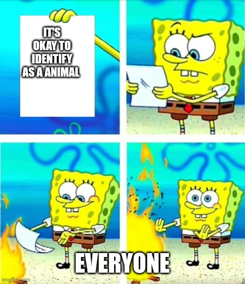 Spongebob Burn Note | It's okay to identify as a animal; Everyone | image tagged in spongebob burn note | made w/ Imgflip meme maker