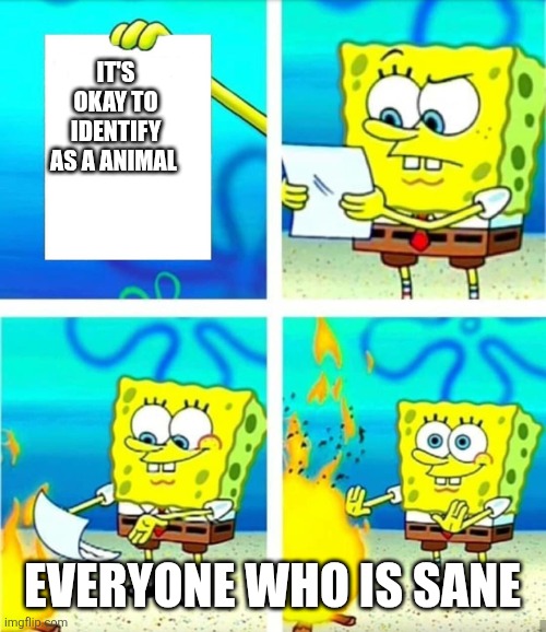 Spongebob Burn Note | It's okay to identify as a animal; Everyone who is sane | image tagged in spongebob burn note | made w/ Imgflip meme maker