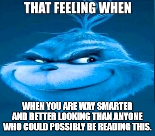 It's not bragging if its the truth. | When you are way smarter and better looking than anyone who could possibly be reading this. | image tagged in that feeling,kewlew | made w/ Imgflip meme maker