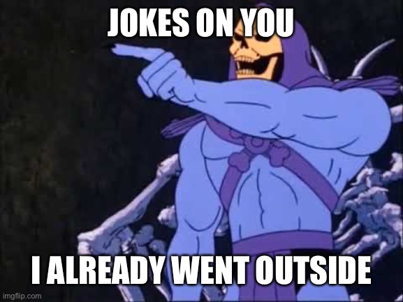 Jokes on you I already went outside | image tagged in skeletor | made w/ Imgflip meme maker