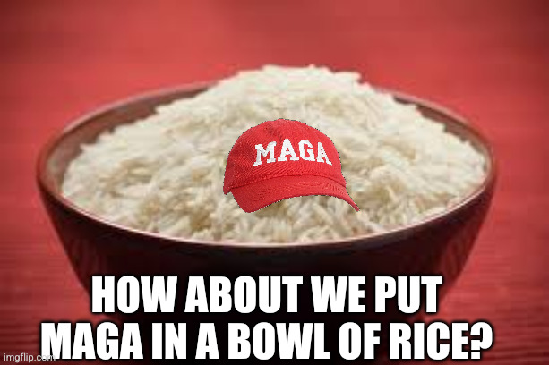 USA is broken. We have to do something... | How about we put MAGA in a bowl of rice? | image tagged in all this rice,memes,dysfunctional,make america great again,dry america,troubleshooting usa | made w/ Imgflip meme maker
