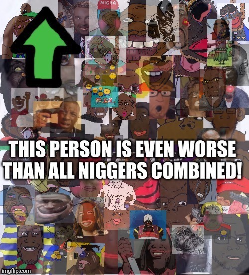 This Person is even worse than all N...... combined! Blank Meme Template