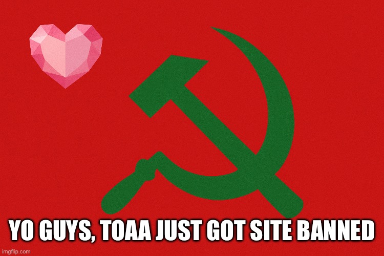 HOLY FUCKING SHIT! DOMINGO!!! | YO GUYS, TOAA JUST GOT SITE BANNED | image tagged in united undertale social republic uusr flag | made w/ Imgflip meme maker