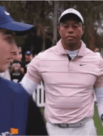 Tiger woods meme Blank Meme Template