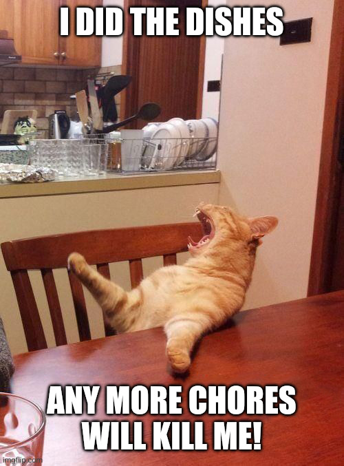 I have done enough! | I did the dishes; Any more chores will kill me! | image tagged in cat table,memes,chores,exhaustion,lazy cat,no more | made w/ Imgflip meme maker