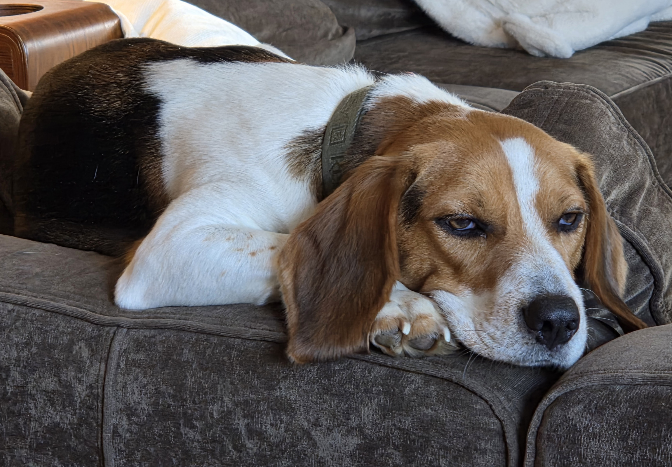 Fascinating. Truly groundbreaking. Blank Meme Template