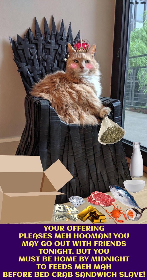 Your Offering Pleases Meh | Your offering pleases meh hooman! You may go out with friends tonight. BUT you must be home by midnight to feeds meh mah before bed crab sandwich slave! | image tagged in overlord cat,cats,evil overlord rules,superior royalty,obey,the boss | made w/ Imgflip meme maker