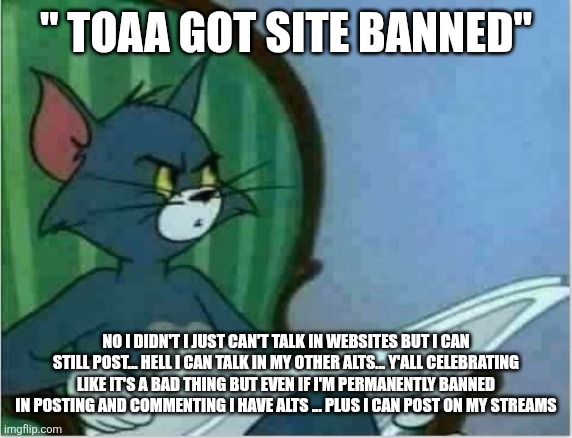 Interrupting Tom's Read | " toaa got site banned"; No I didn't I just can't talk in websites but I can still post... Hell I can talk in my other alts... Y'all celebrating like it's a bad thing but even if I'm permanently banned in posting and commenting I have alts ... Plus I can post on my streams | image tagged in interrupting tom's read | made w/ Imgflip meme maker