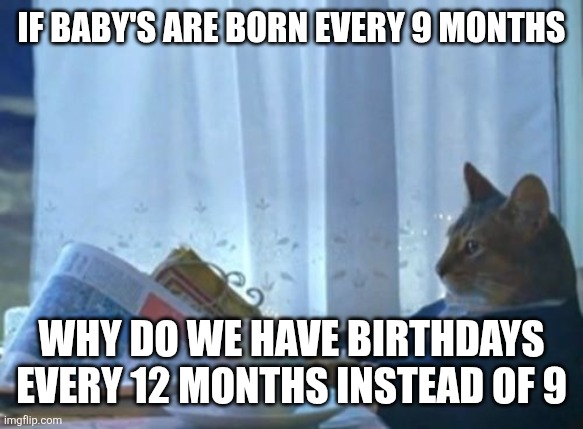 Spinel... No I'm not banned | If baby's are born every 9 months; Why do we have Birthdays every 12 months instead of 9 | image tagged in memes,i should buy a boat cat | made w/ Imgflip meme maker