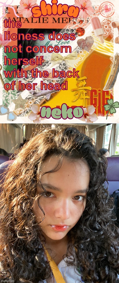 the lioness does not concern herself with the back of her head | image tagged in neko and shira shared temp 3 | made w/ Imgflip meme maker