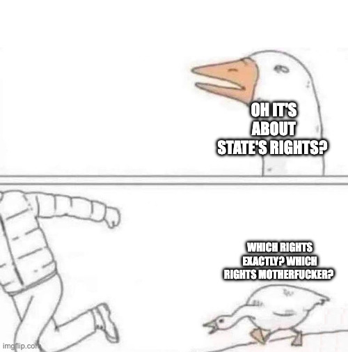 Goose Chase | Oh it's about state's rights? Which rights exactly? Which rights motherfucker? | image tagged in goose chase | made w/ Imgflip meme maker